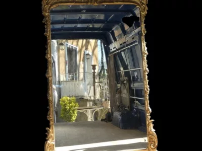 Miroir de boiserie "aux perroquets" en bois sculpté et laqué de style Louis XV